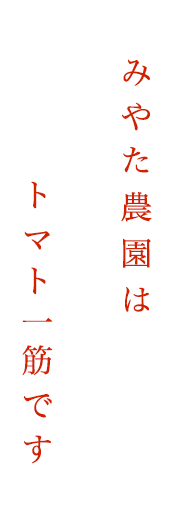 みやた農園はトマト一筋です